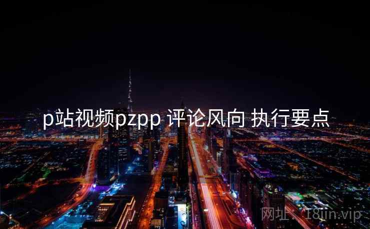 p站视频pzpp 评论风向 执行要点  第1张