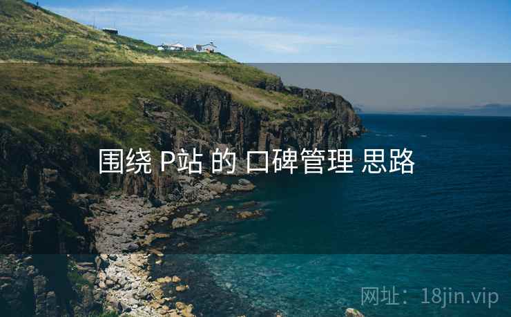 围绕 P站 的 口碑管理 思路 第1张 围绕 P站 的 口碑管理 思路 第1张