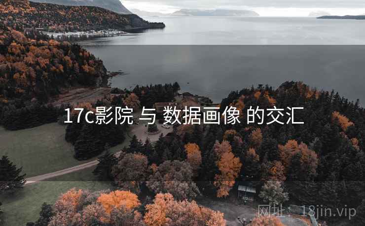 17c影院 与 数据画像 的交汇 第2张 17c影院 与 数据画像 的交汇 第2张