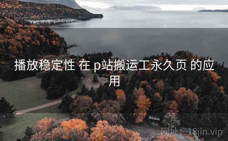 播放稳定性 在 p站搬运工永久页 的应用 第1张 播放稳定性 在 p站搬运工永久页 的应用 第1张